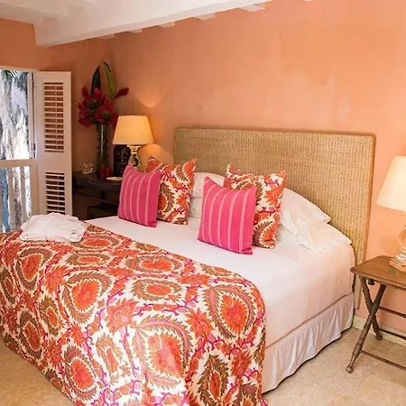 Luxury 10 Bedroom Colonial Mansion